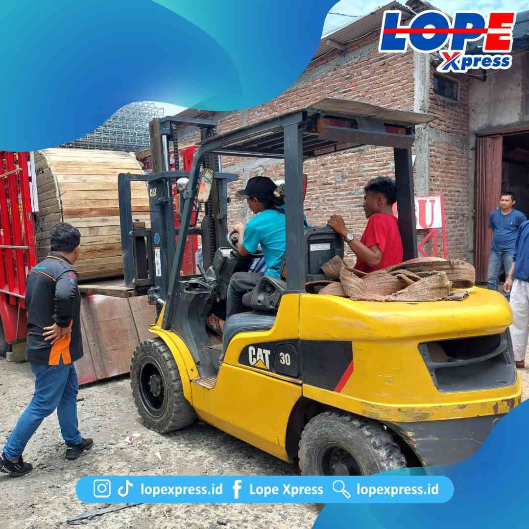 ekspedisi Bogor Timika murah